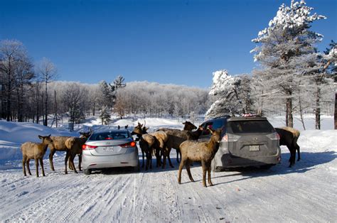 omega park tickets.